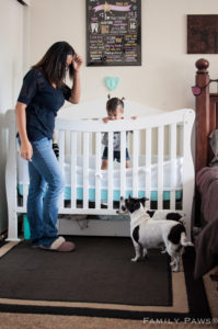 Dogs & Storks Presentation Zoom Edition - Athens, GA - June 29th, 2020 @ Sit Happens Dog Training & Behavior, LLC | Athens | Georgia | United States